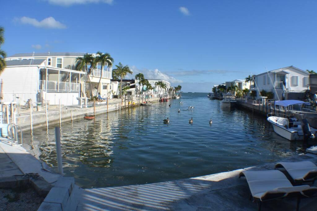 Pelican'S Roost, Waterfront Comfort At Venture Out Cudjoe Key Zewnętrze zdjęcie