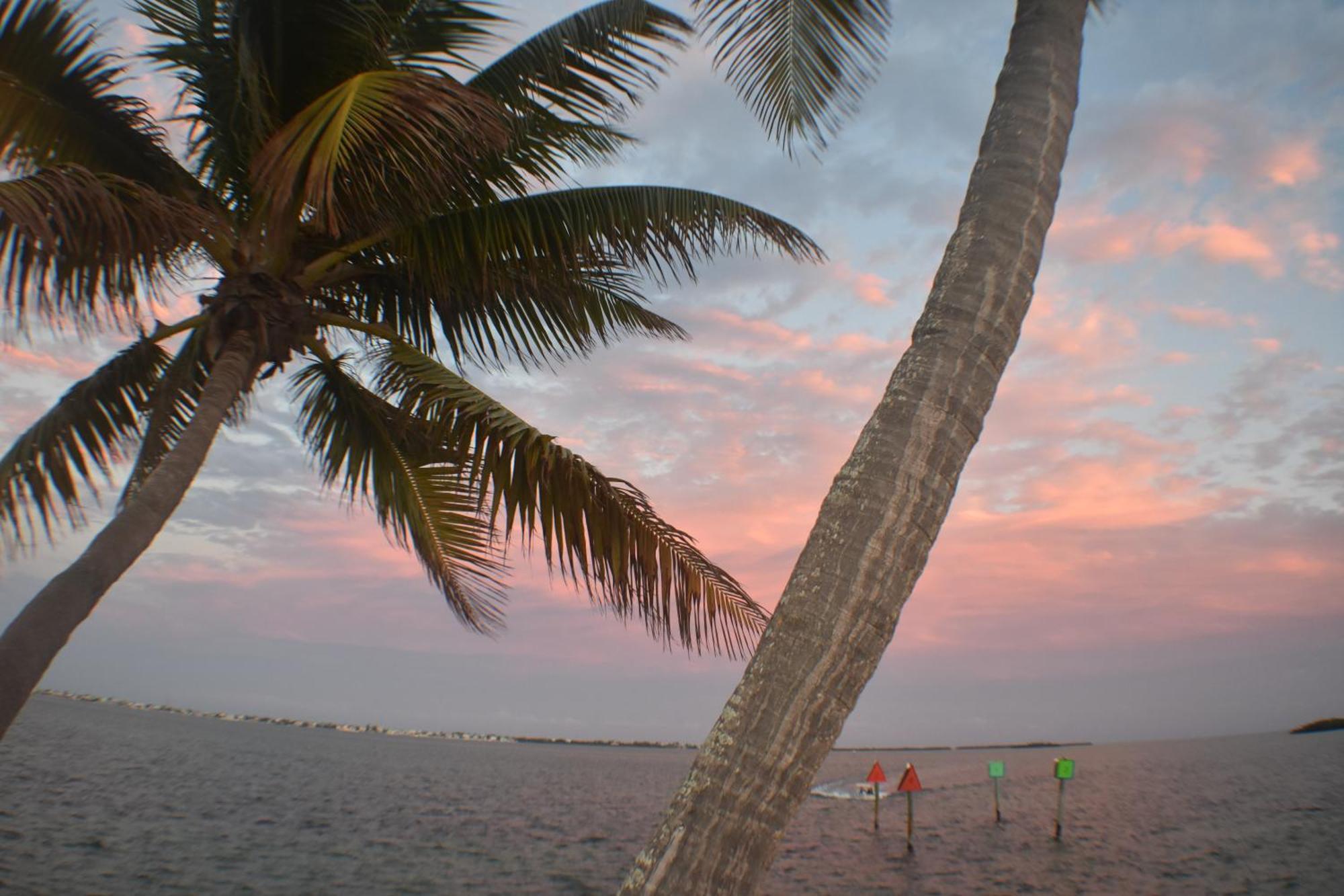 Pelican'S Roost, Waterfront Comfort At Venture Out Cudjoe Key Zewnętrze zdjęcie